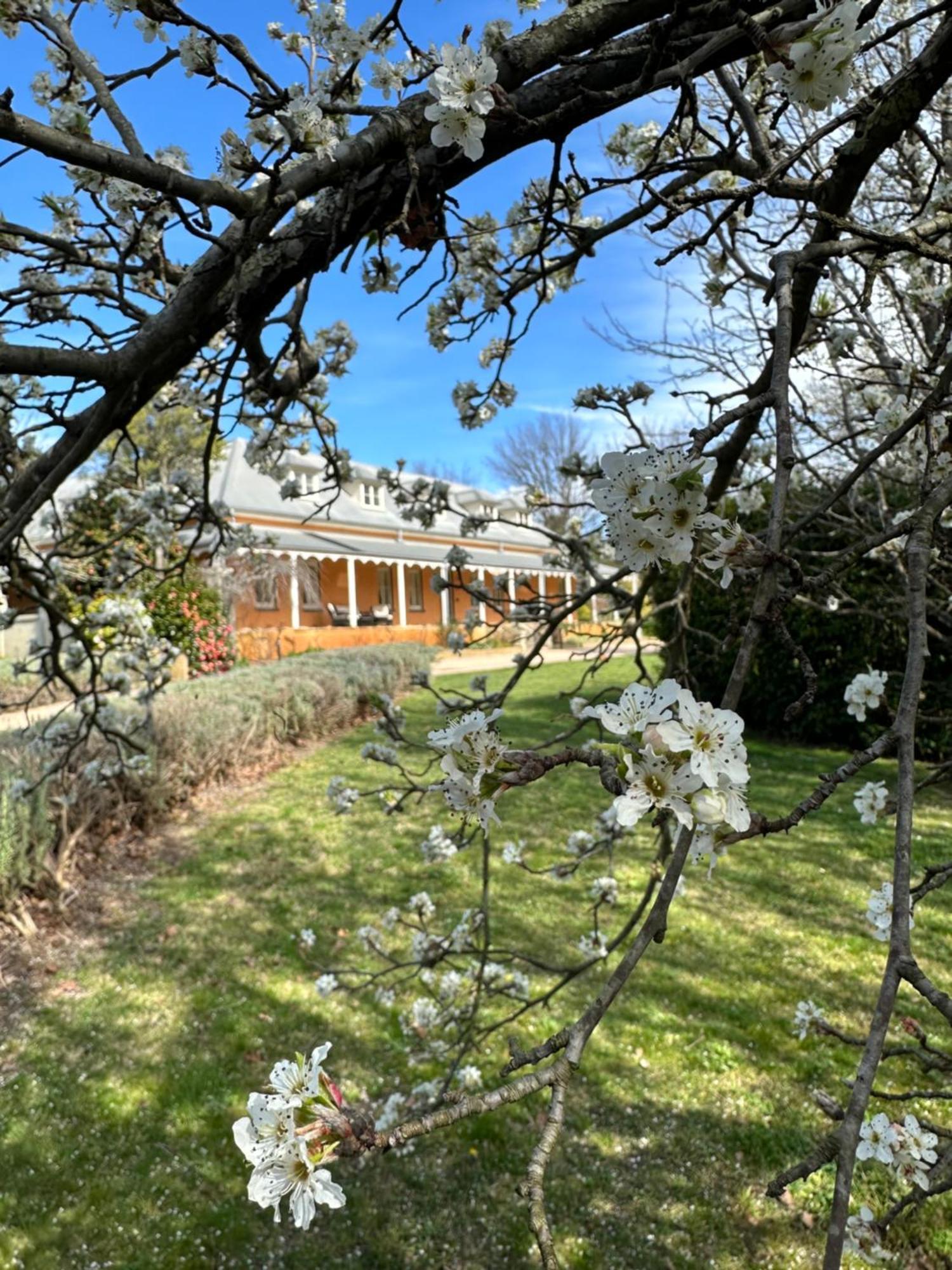 Fitzroy Inn Historic Retreat Mittagong Esterno foto